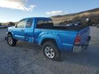 2006 Toyota Tacoma Access Cab for Sale in Reno, NV - Front End