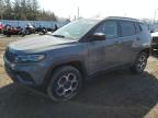 2022 JEEP COMPASS TRAILHAWK for sale at Copart ON - TORONTO