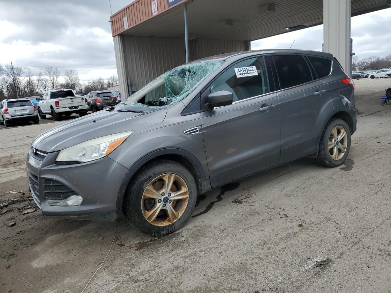 2013 Ford Escape Se for Sale in Fort Wayne, IN - Burn
