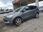 2013 Ford Escape Se for Sale in Fort Wayne, IN - Burn