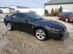2004 Ford Mustang  на продаже в Louisville, KY - Hail