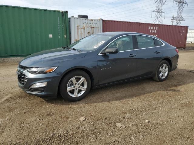  CHEVROLET MALIBU 2020 Gray