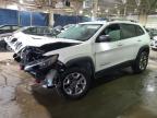 2019 Jeep Cherokee Trailhawk en Venta en Woodhaven, MI - Front End