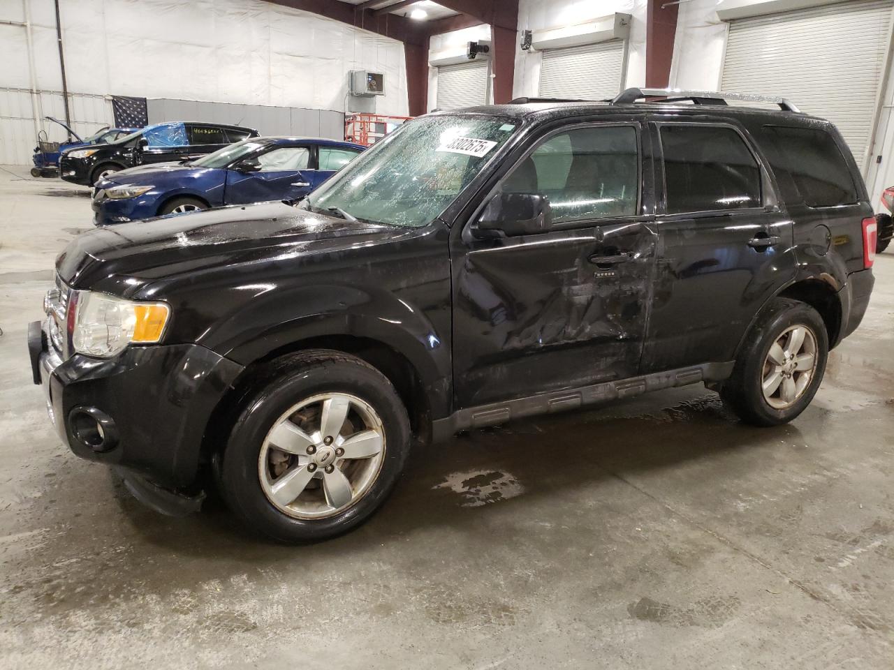Avon, MN에서 판매 중인 2011 Ford Escape Limited - Side