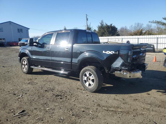 Пікапи FORD F-150 2013 Чорний