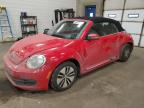 2013 Volkswagen Beetle  for Sale in Blaine, MN - Side