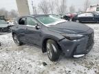 2024 Lexus Nx 350 Luxury de vânzare în Wayland, MI - All Over