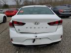 2019 Hyundai Sonata Limited за продажба в Louisville, KY - Burn - Engine