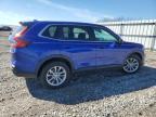 2024 Honda Cr-V Ex   na sprzedaż w Earlington, KY - All Over