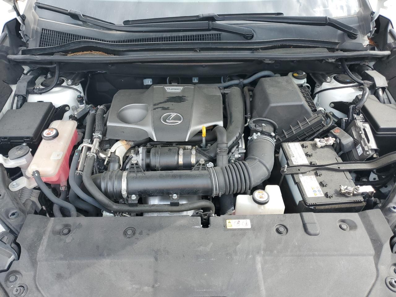 2019 Lexus Nx 300 Base VIN: JTJYARBZ4K2147345 Lot: 50794495