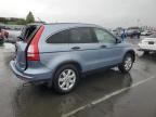 2011 Honda Cr-V Se for Sale in Vallejo, CA - Rear End
