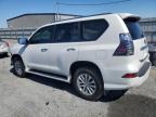 2020 Lexus Gx 460 na sprzedaż w Gastonia, NC - Front End