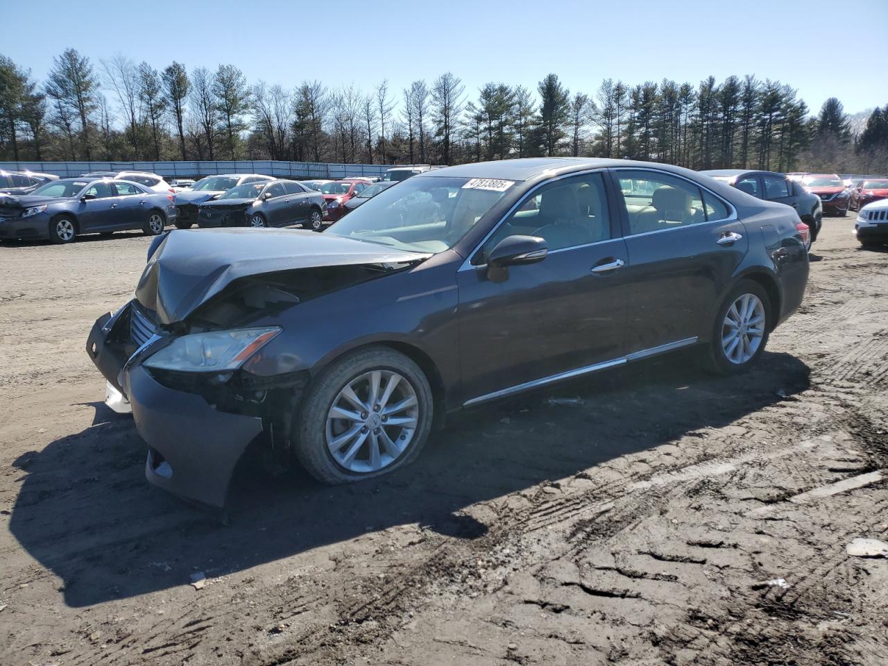 2010 Lexus ES - Image 1