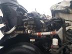 2022 Freightliner Cascadia 126 Semi Truck for Sale in Fredericksburg, VA - All Over
