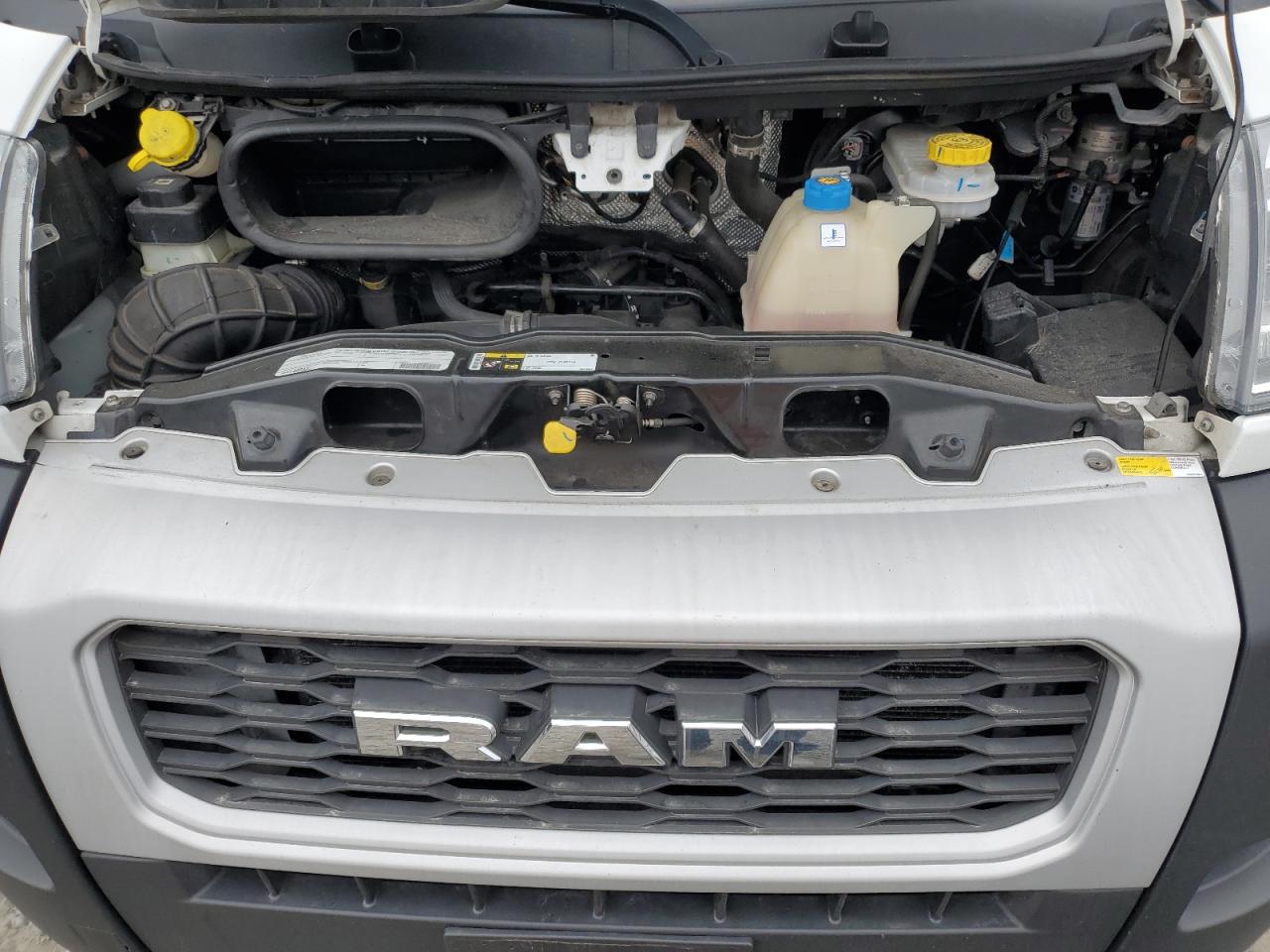 2019 Ram Promaster 1500 1500 High VIN: 3C6TRVBG3KE501265 Lot: 50530205