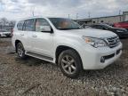 2013 Lexus Gx 460 Premium იყიდება Chicago Heights-ში, IL - Minor Dent/Scratches