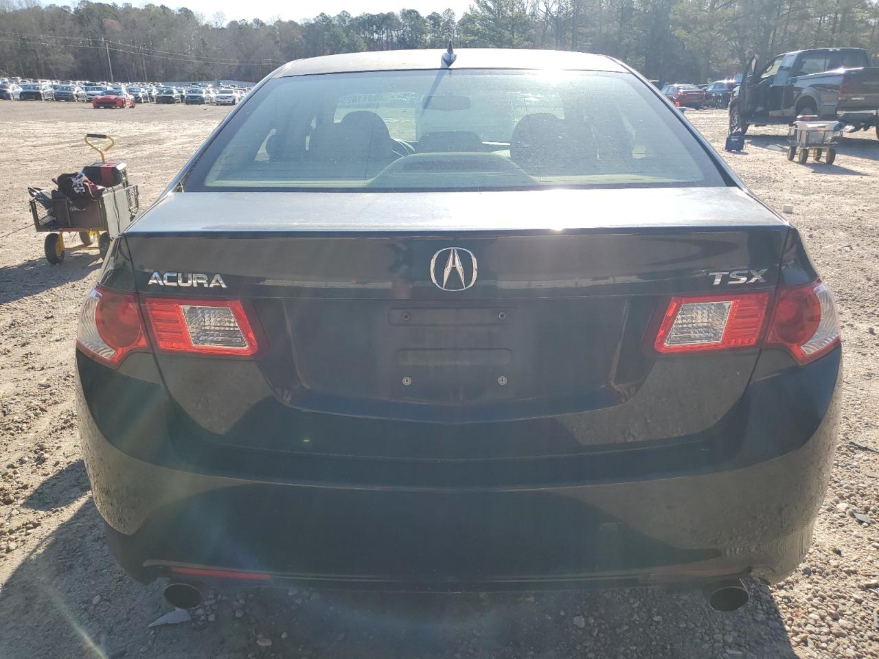 2009 Acura Tsx VIN: JH4CU266X9C007119 Lot: 49911825