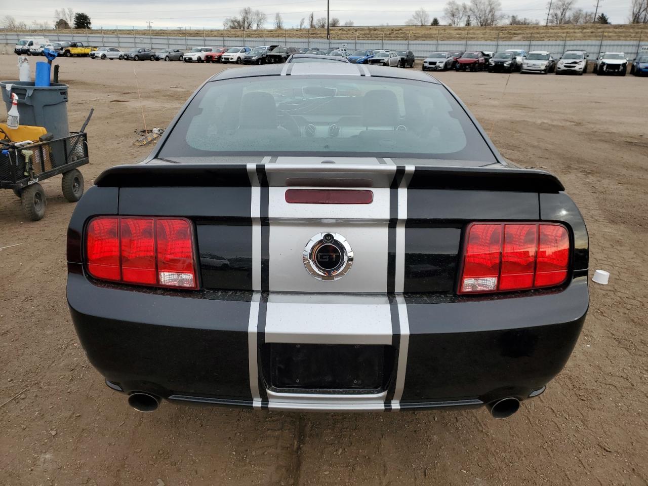 2009 Ford Mustang Gt VIN: 1ZVHT82H695125562 Lot: 48006225