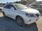 2013 Lexus Rx 350 for Sale in Harleyville, SC - Rear End