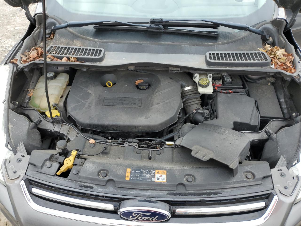 2013 Ford Escape - Image 12