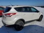 2014 FORD ESCAPE TITANIUM for sale at Copart AB - EDMONTON