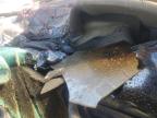 1995 Ford F150  na sprzedaż w Newton, AL - Burn
