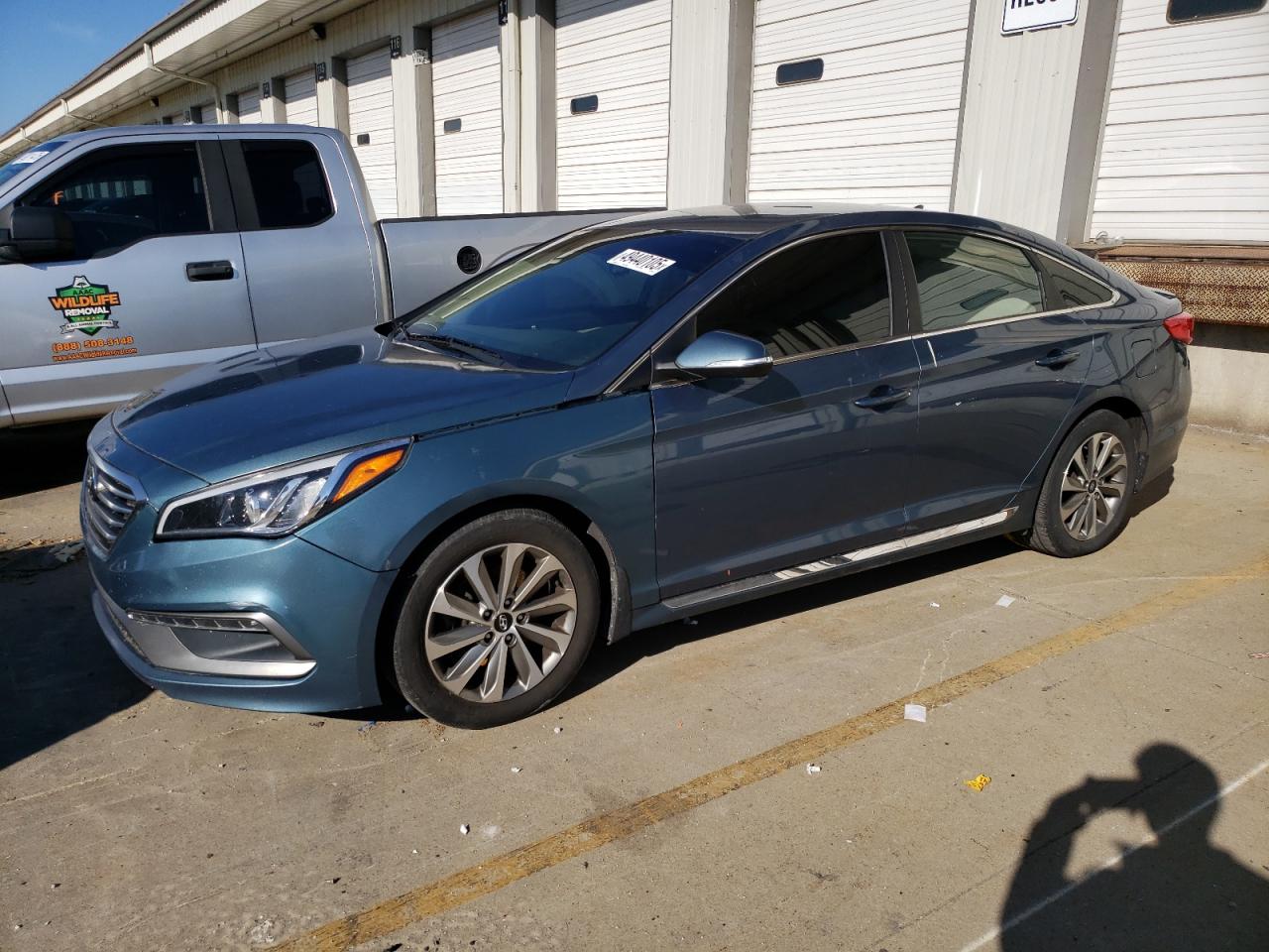 2016 Hyundai Sonata Sport zu verkaufen in Louisville, KY - Normal Wear