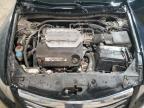 2011 Honda Accord Exl for Sale in Temple, TX - Rear End