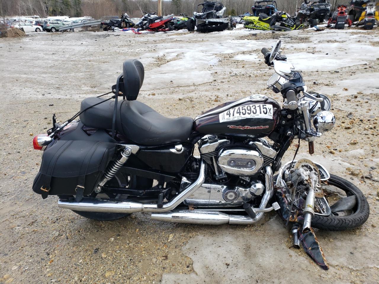 Candia, NH에서 판매 중인 2005 Harley-Davidson Xl1200 C - Front End