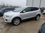 2019 Ford Escape Se zu verkaufen in Lawrenceburg, KY - All Over