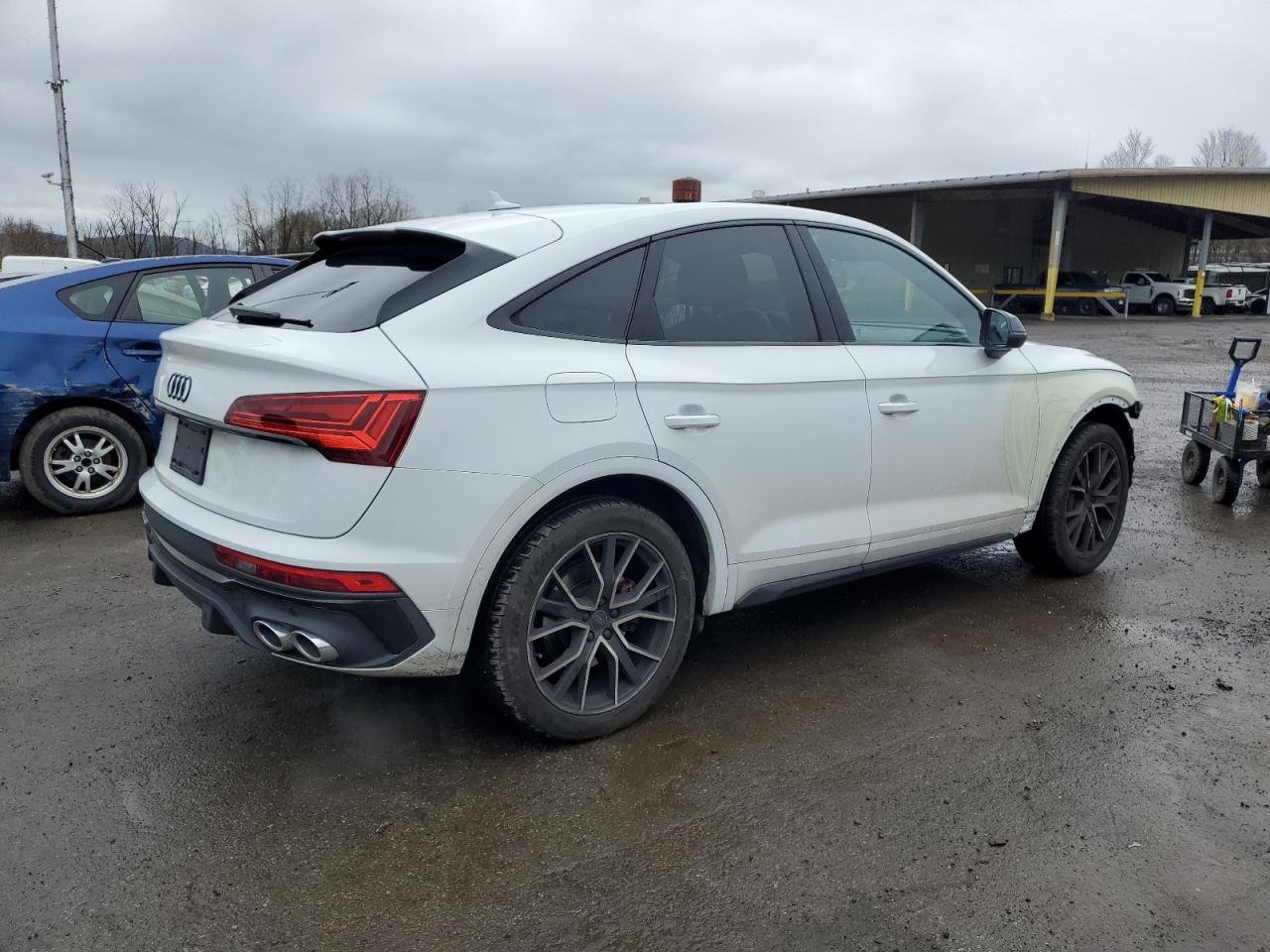 2024 Audi SQ5 Sportback - Image 3