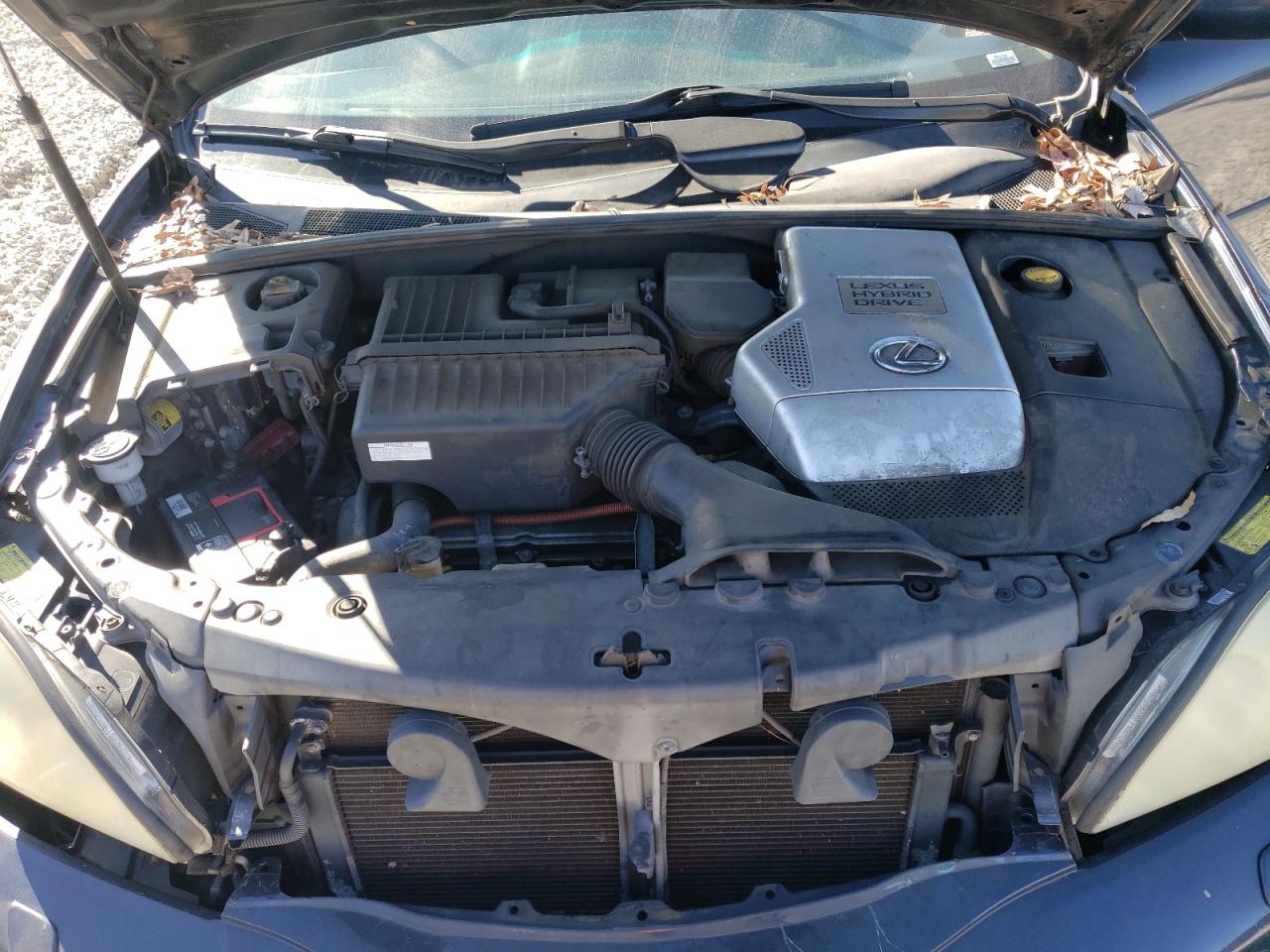 2007 Lexus RX - Image 12