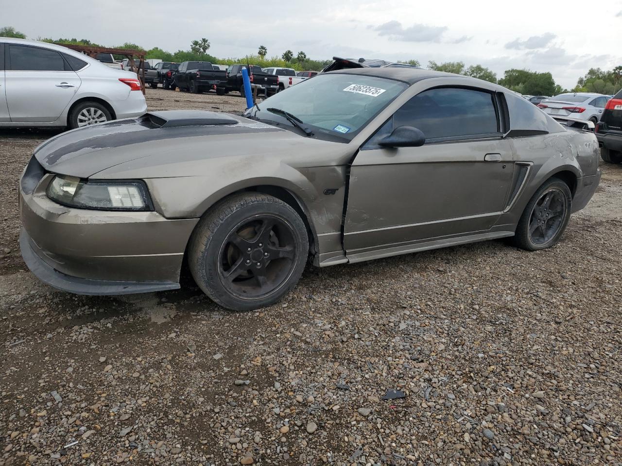 2001 Ford Mustang Gt იყიდება Mercedes-ში, TX - All Over