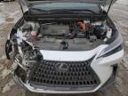2022 LEXUS NX 350H à vendre chez Copart AB - EDMONTON