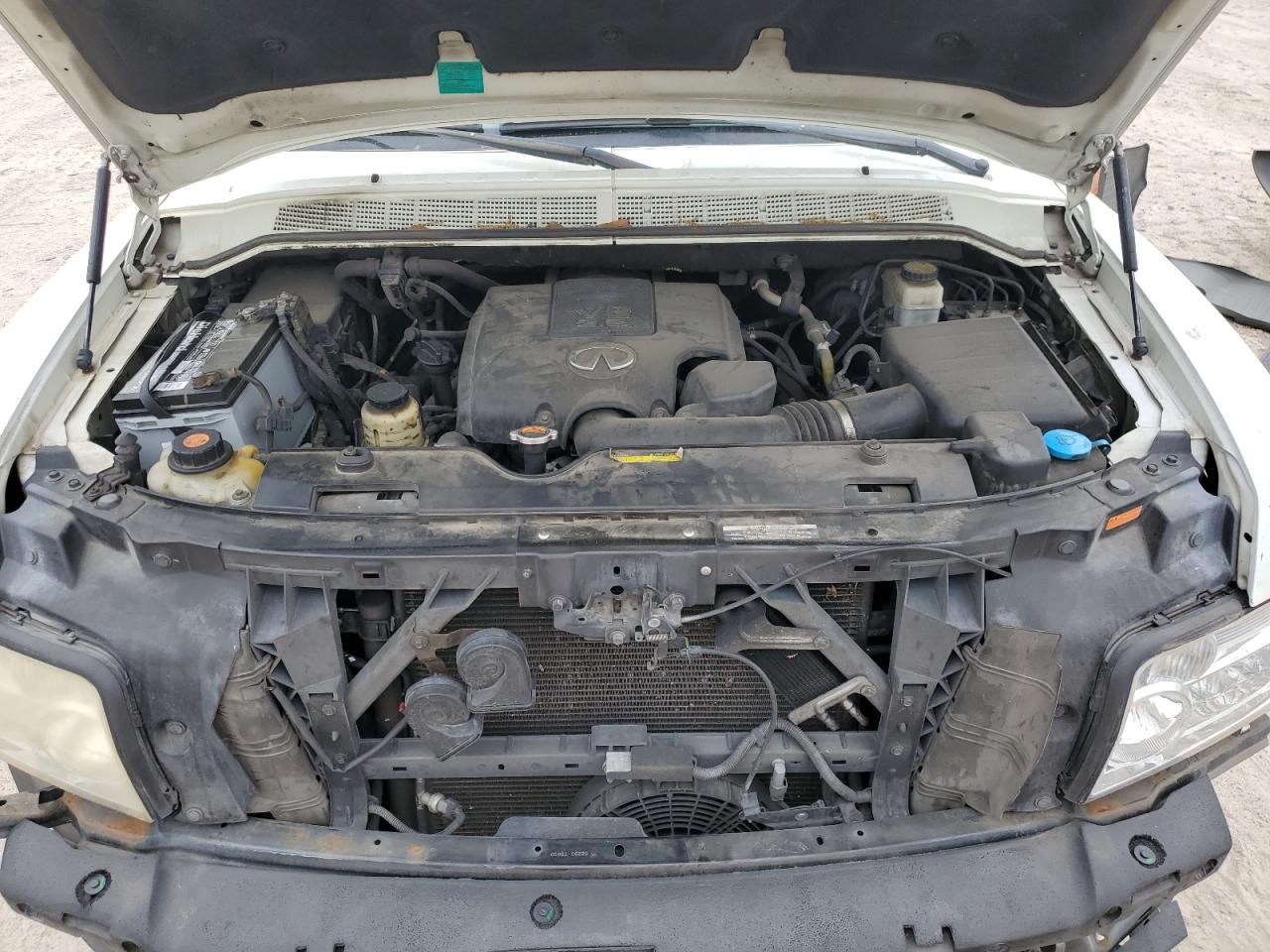 2010 Infiniti Qx56 VIN: 5N3ZA0NF7AN905263 Lot: 51274785