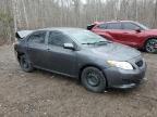 2010 TOYOTA COROLLA BASE for sale at Copart ON - COOKSTOWN