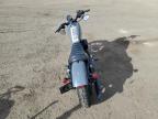 Brighton, CO에서 판매 중인 2022 Harley-Davidson Xl883 N - All Over