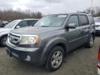 2011 HONDA PILOT EXL à vendre chez Copart CT - HARTFORD SPRINGFIELD