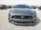 2021 Ford Mustang  for Sale in Grand Prairie, TX - Hail