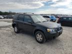2006 Ford Escape Limited на продаже в Madisonville, TN - Rear End