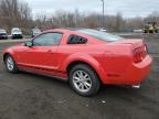 East Granby, CT에서 판매 중인 2007 Ford Mustang  - Rear End