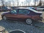 2014 Honda Accord Exl na sprzedaż w Cicero, IN - Rear End