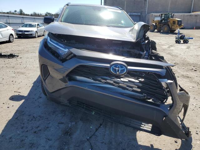  TOYOTA RAV4 2024 Gray