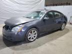 Candia, NH에서 판매 중인 2008 Nissan Maxima Se - Front End