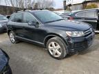 2011 Volkswagen Touareg V6 Tdi на продаже в North Billerica, MA - Normal Wear