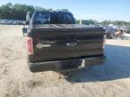 2010 Ford F150 Supercrew   للبيع في Ocala، FL - Side