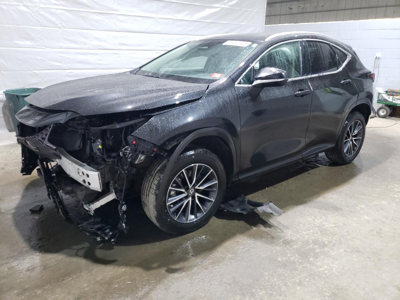 2022 Lexus NX - Image 1