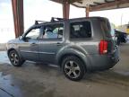 2012 Honda Pilot Exl იყიდება Homestead-ში, FL - Minor Dent/Scratches