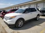 2015 Ford Explorer Xlt იყიდება Louisville-ში, KY - Rear End