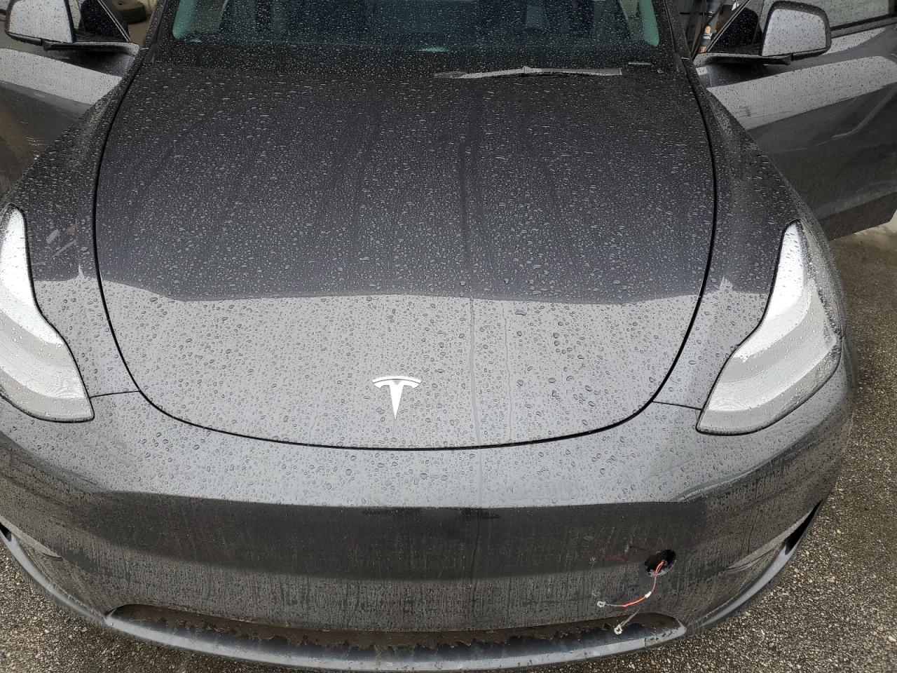 2025 Tesla Model Y VIN: 7SAYGDEE1SF237047 Lot: 48013685